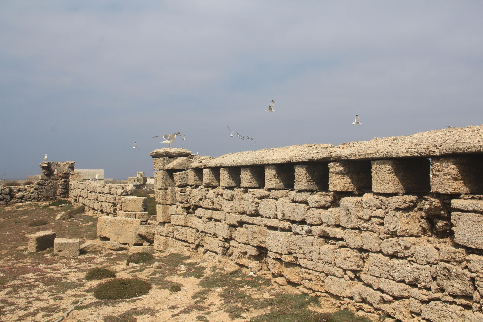 1. Faro y batería acasamatada de levante. 2. Gola de la batería de San Antonio. 3. Fortín 364 nordeste. 4. Almacén de pólvora de San Fernando.