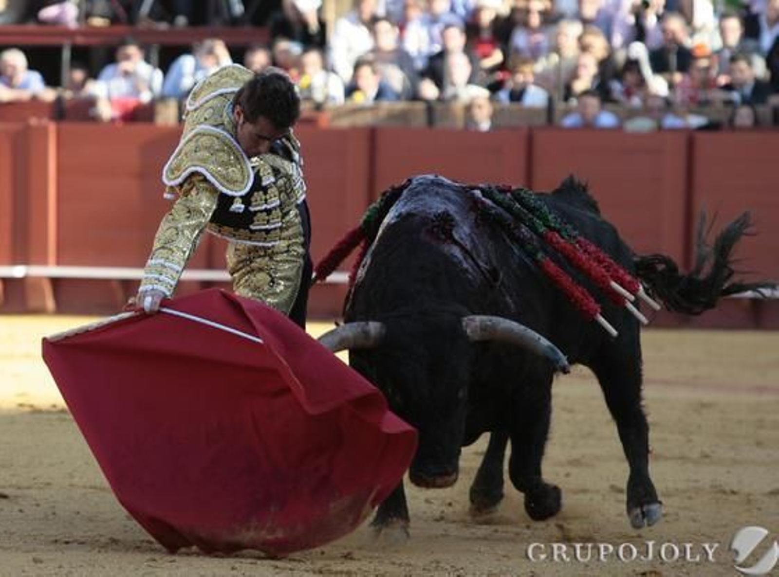 El Fandi torea al tercer astado de la tarde.

Foto: Juan Carlos Munoz