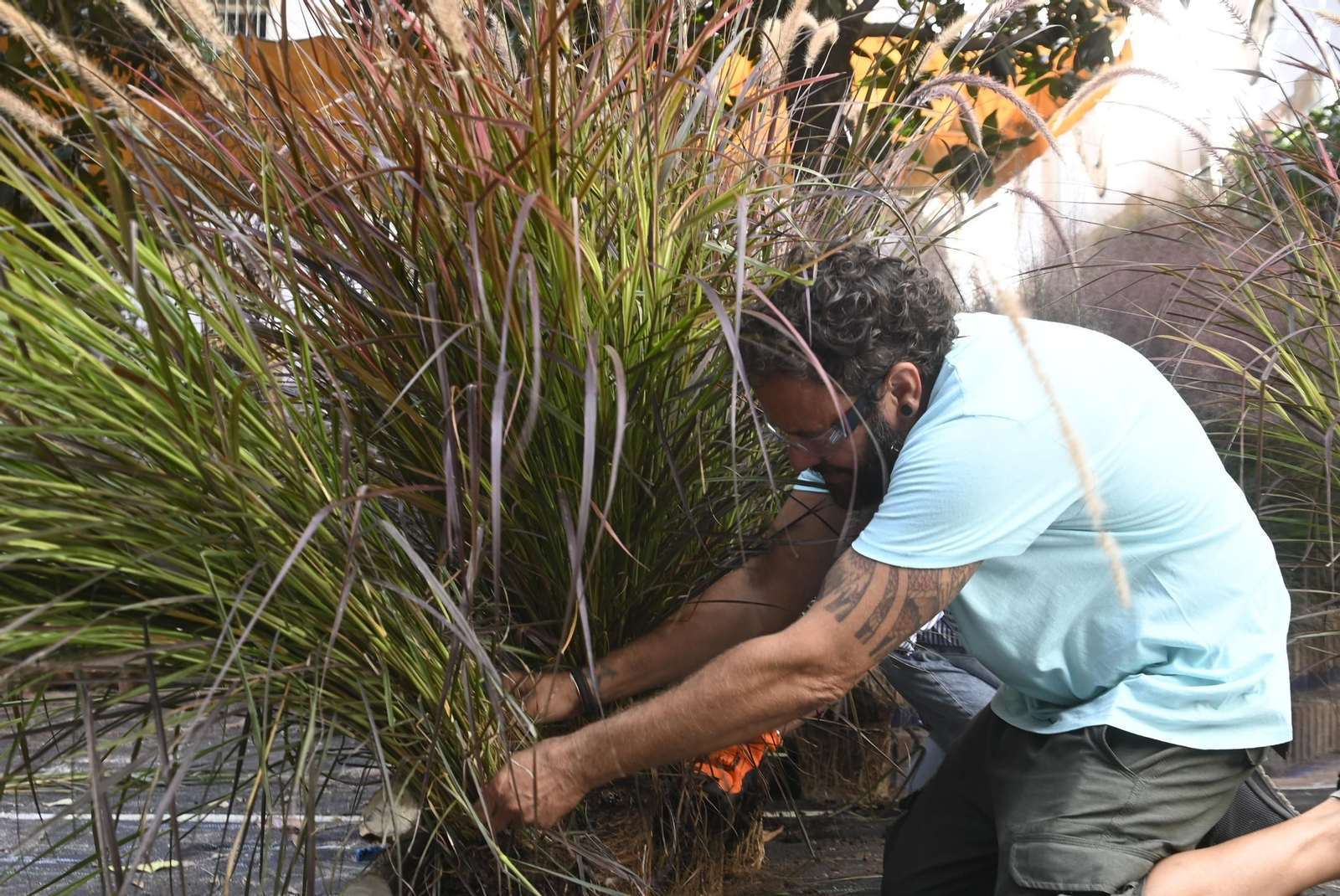 Inicio de los montajes de Flora 2025.