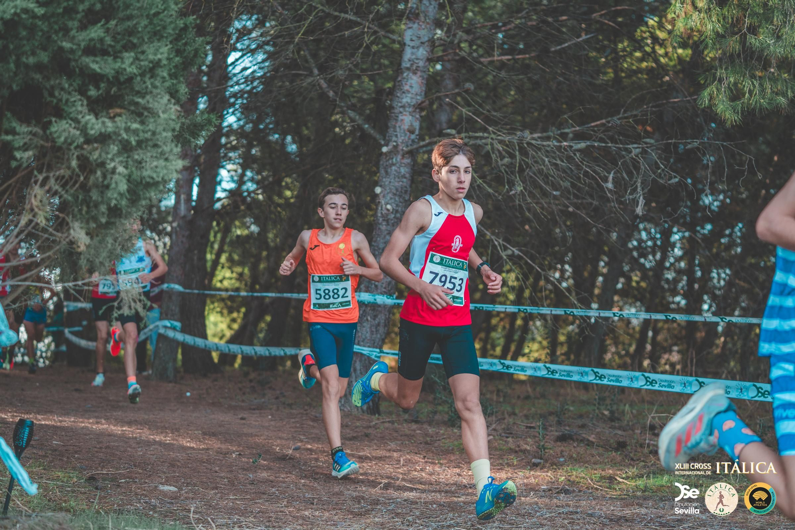 Búscate en las fotos del Cross de Itálica 2025 | 7