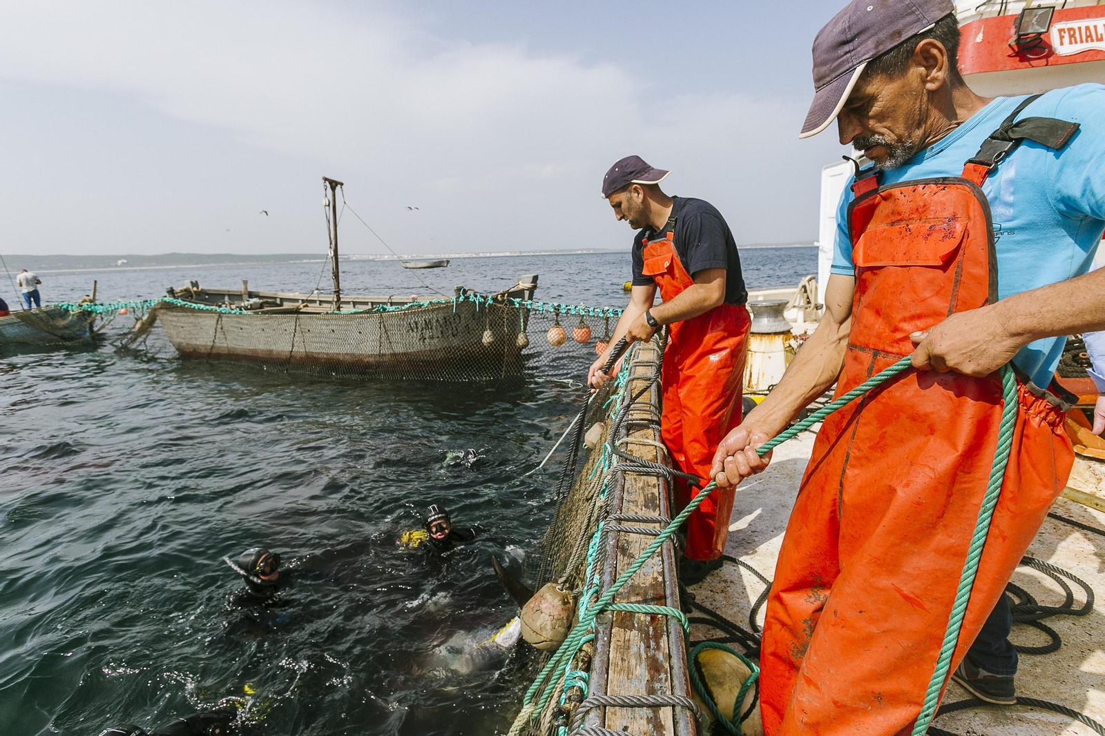 Imágenes de la primera levantá del año