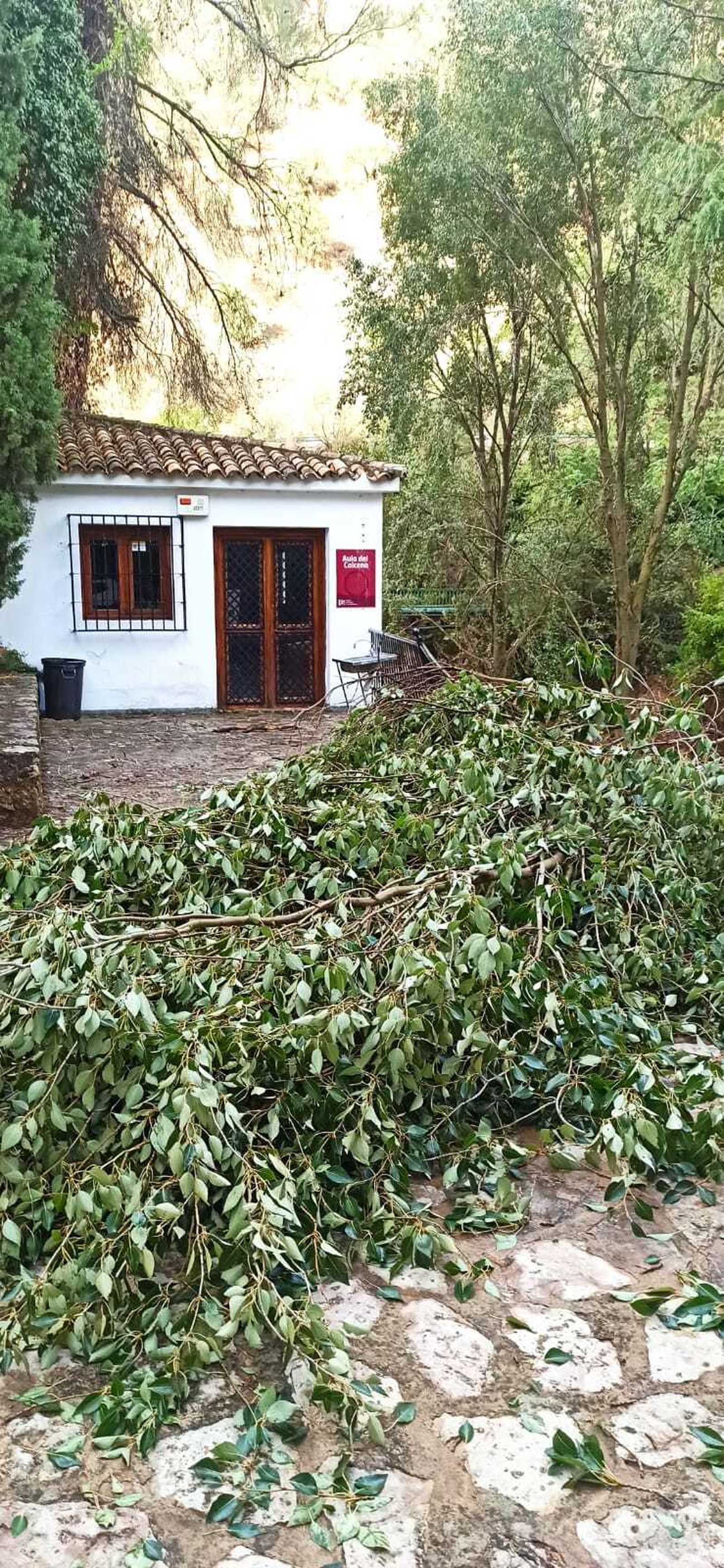 Los daños provocados por la tormenta en Almedinilla, en imágenes