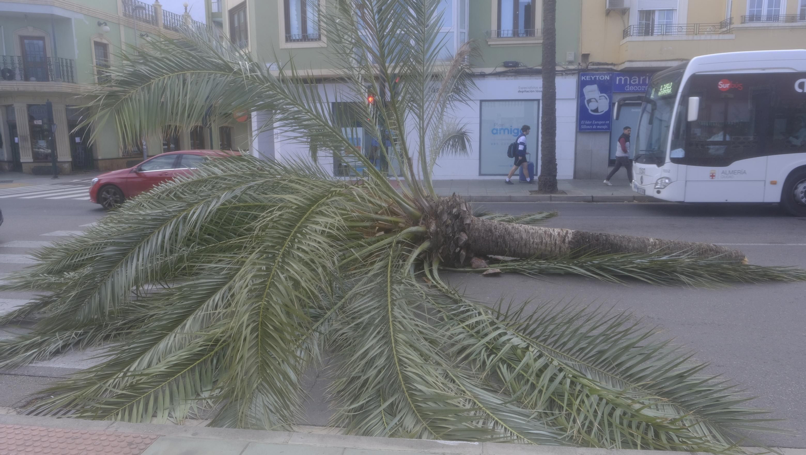 Imágenes del temporal de viento en Almería