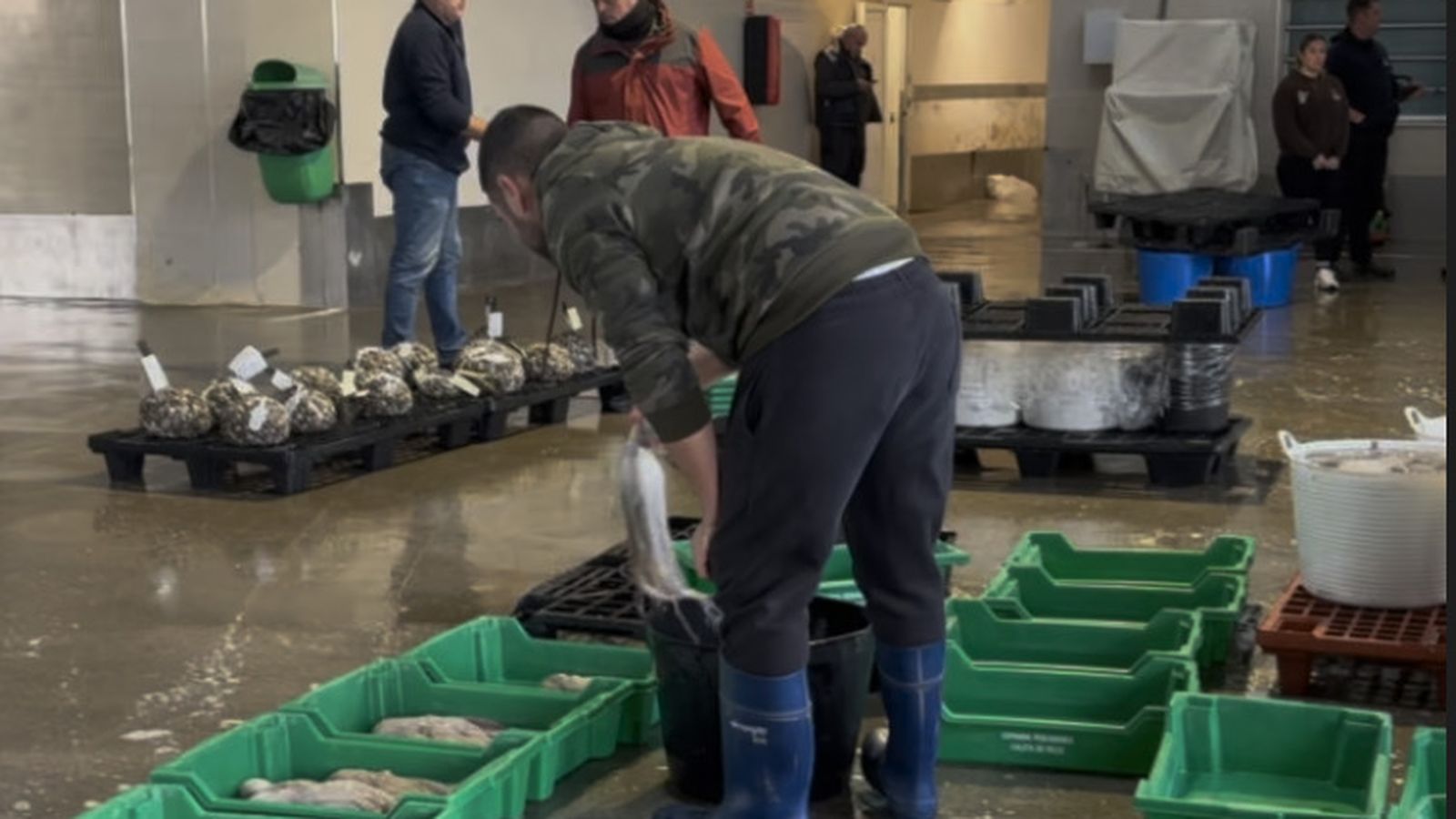 Imagen de un trabajador del Puerto de Caleta de Vélez ordenando el pescado