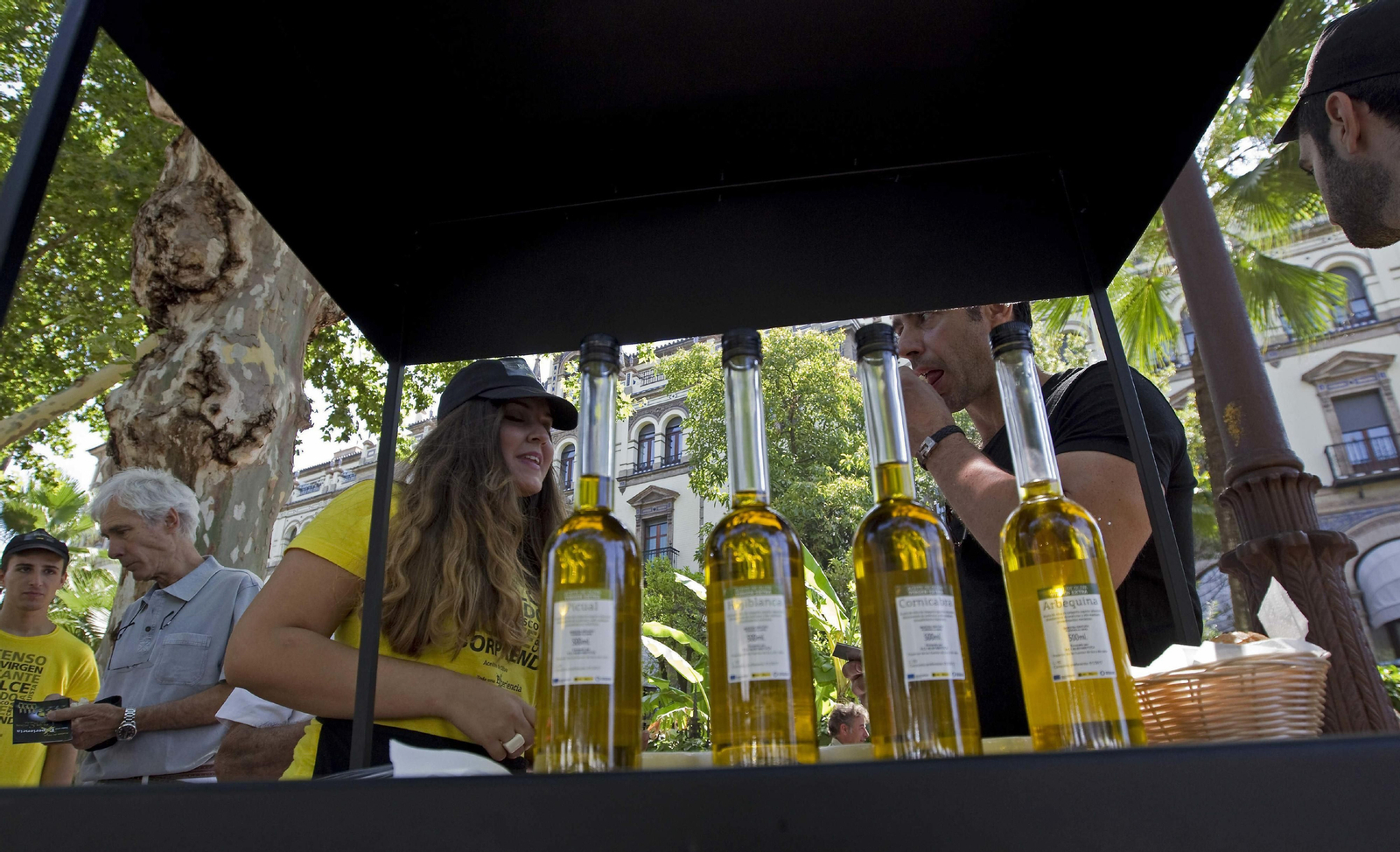 Campaña de promoción de aceite.