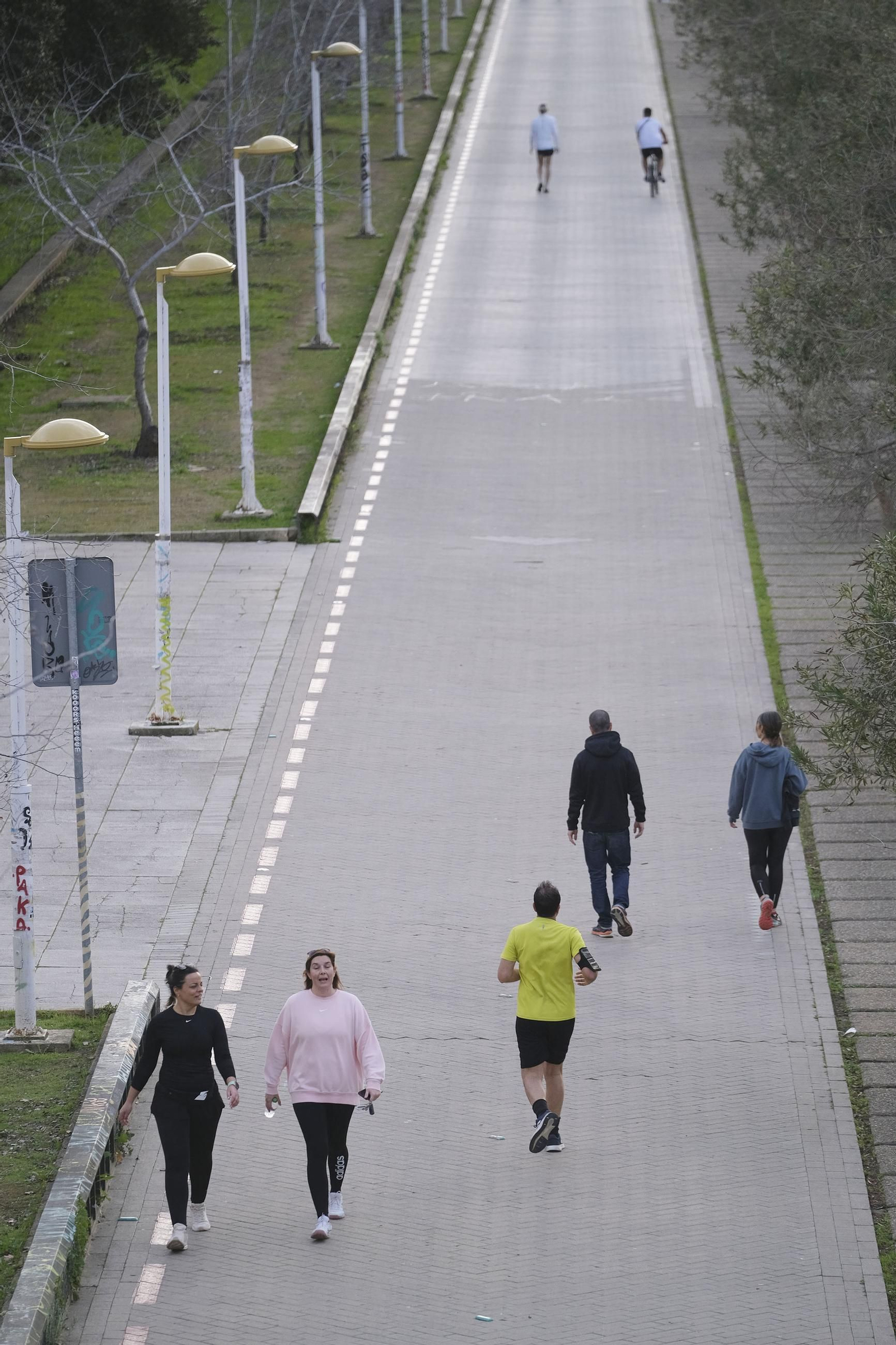 La víspera del maratón de Sevilla en fotos