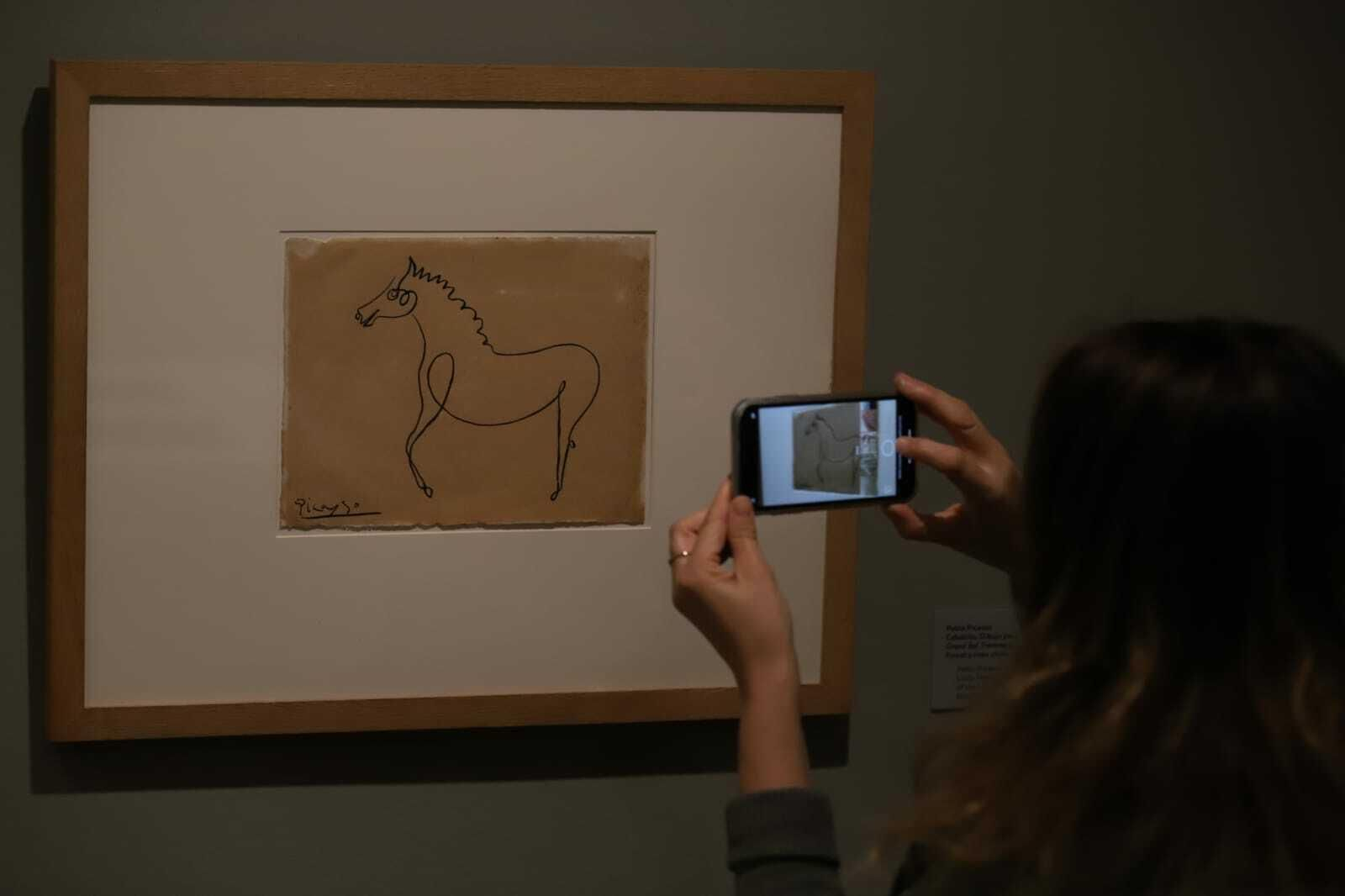 Las fotos de la nueva exposición de la Casa Natal de Picasso