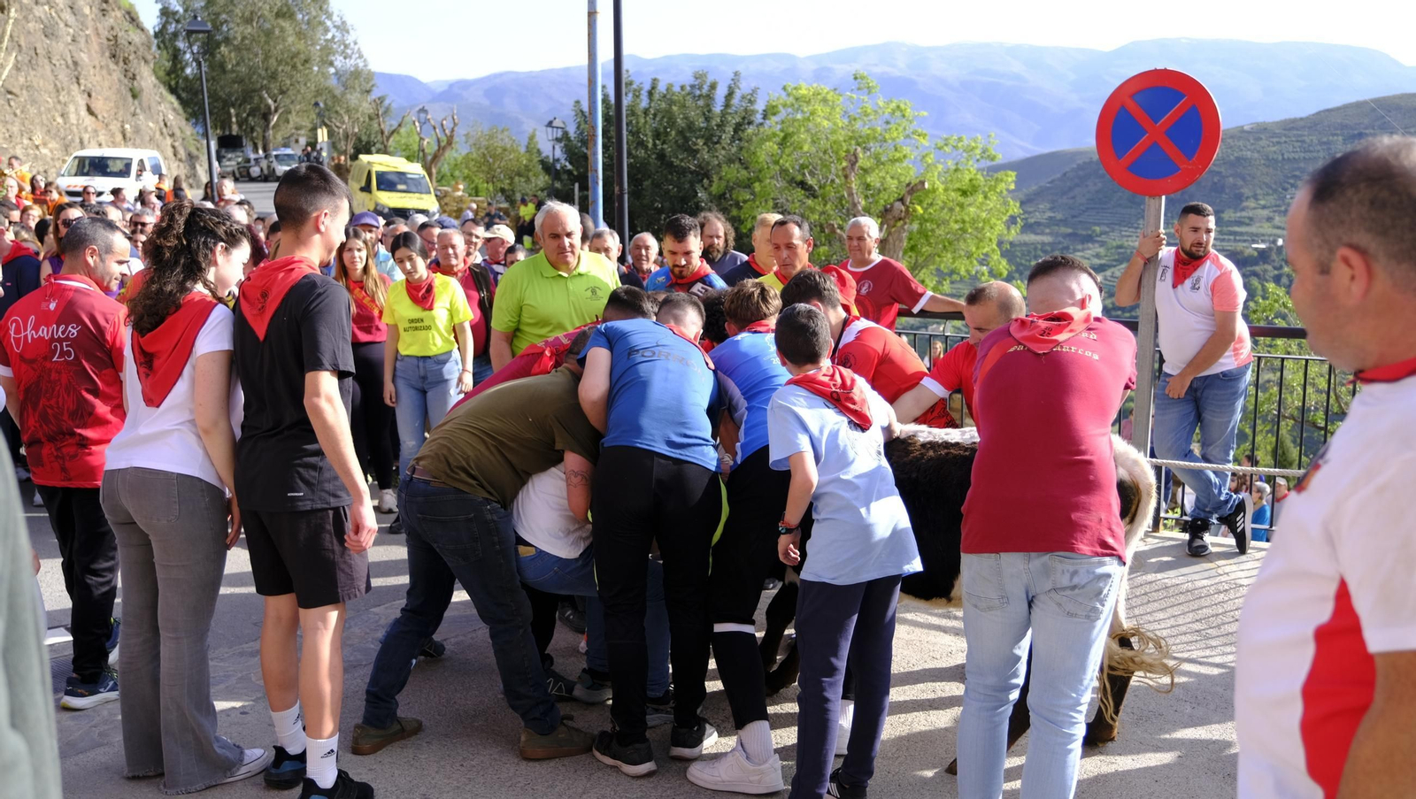 Los toros ensogados de Ohanes, en imágenes