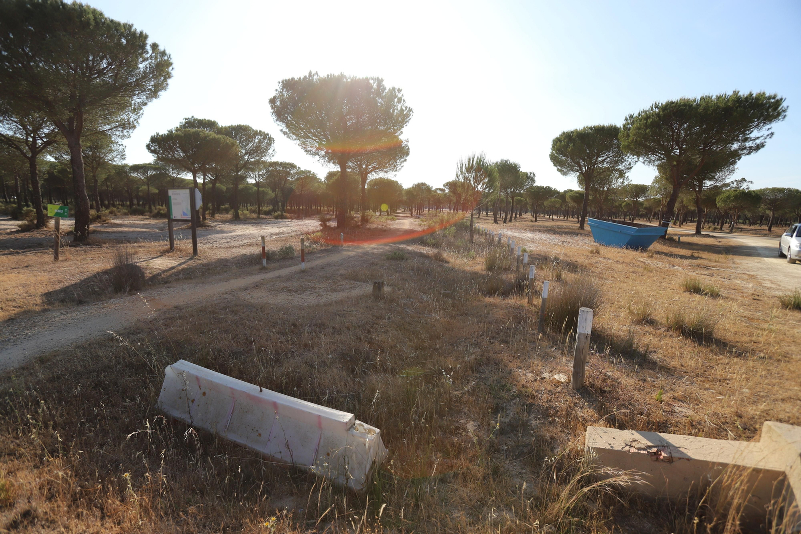 Imágenes del estado en el que se encuentran los caminos del Rocío para la Romería 2023