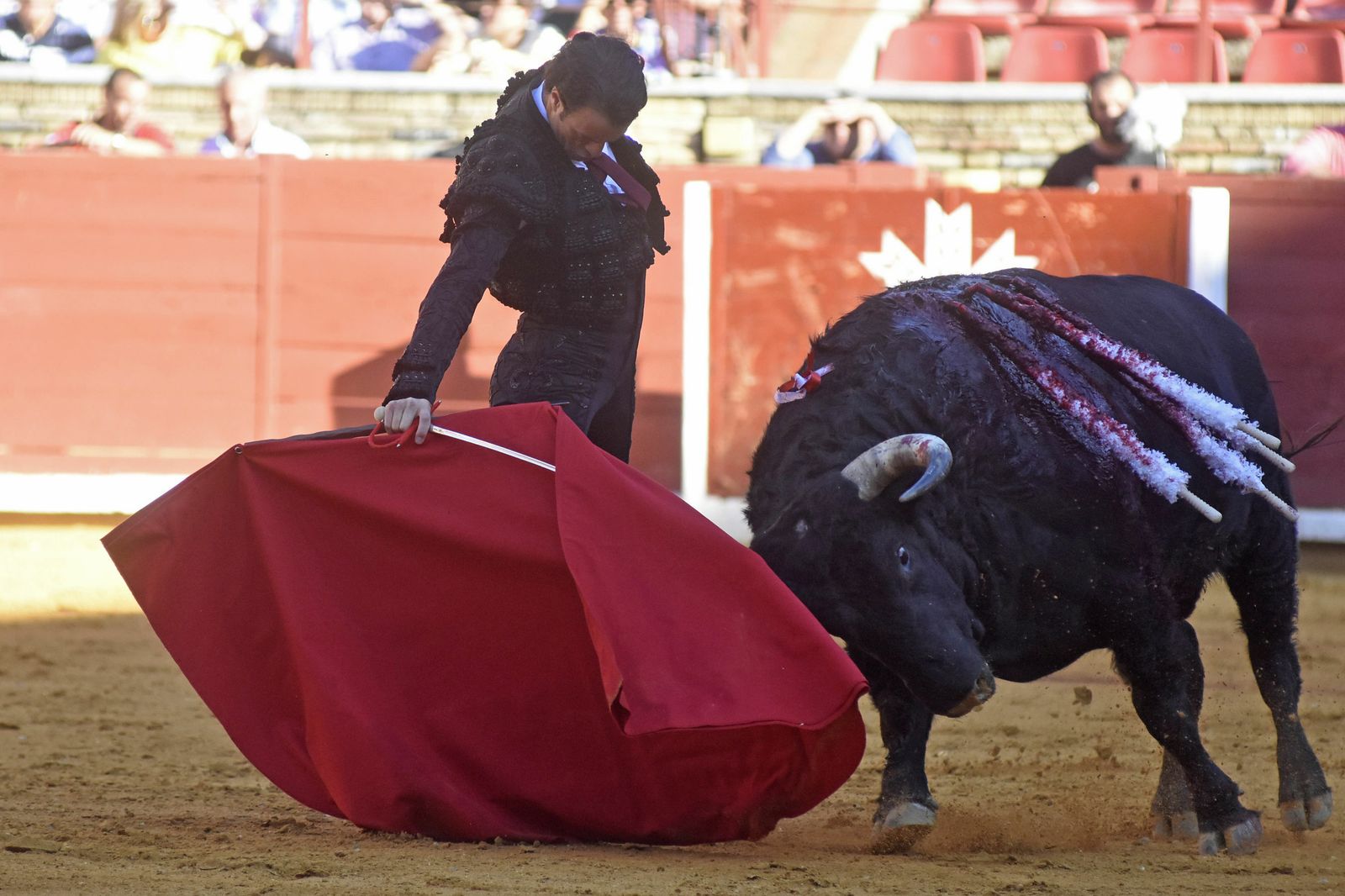Finito de Córdoba en el Coso de los Califas.