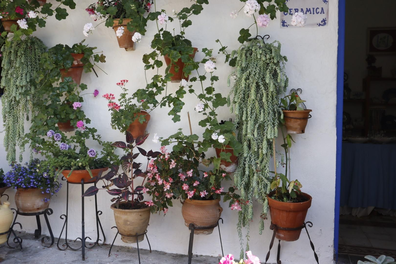 Patio de Marroquíes, 6