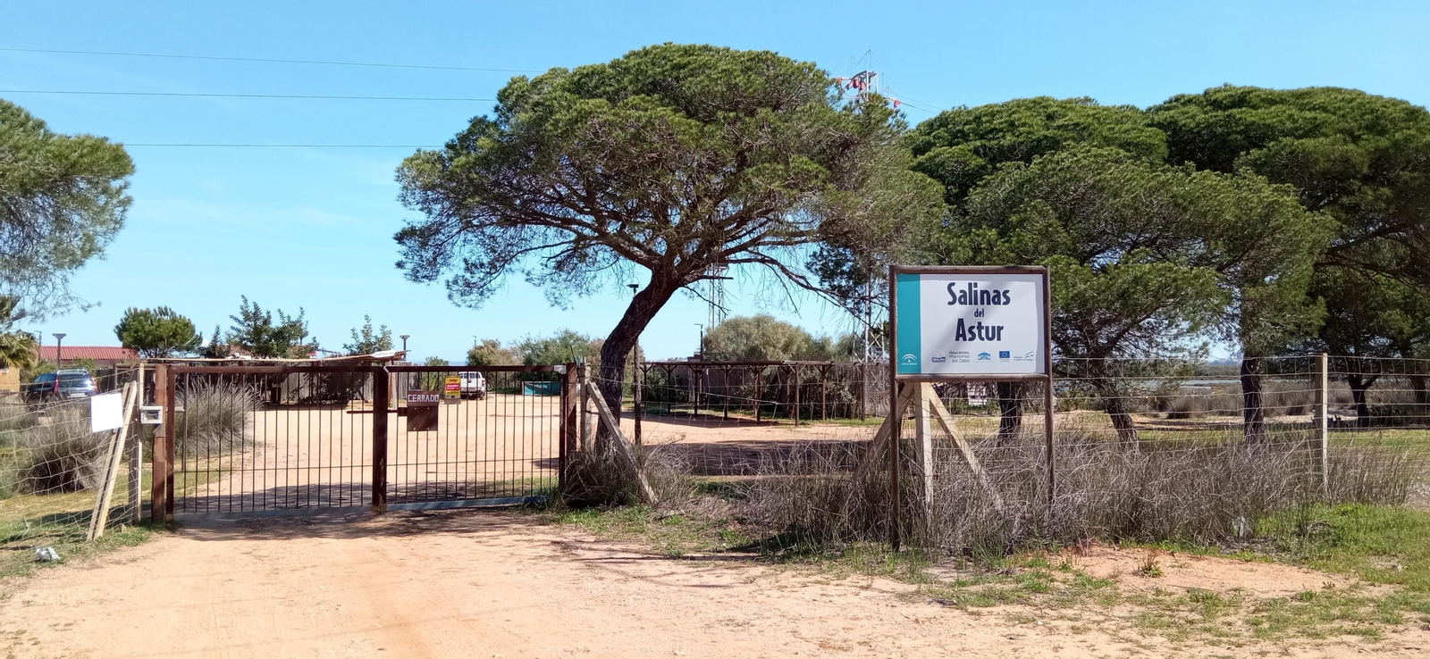 Las imágenes de la ruta de las salinas del Astur y los pinares de Punta Umbría