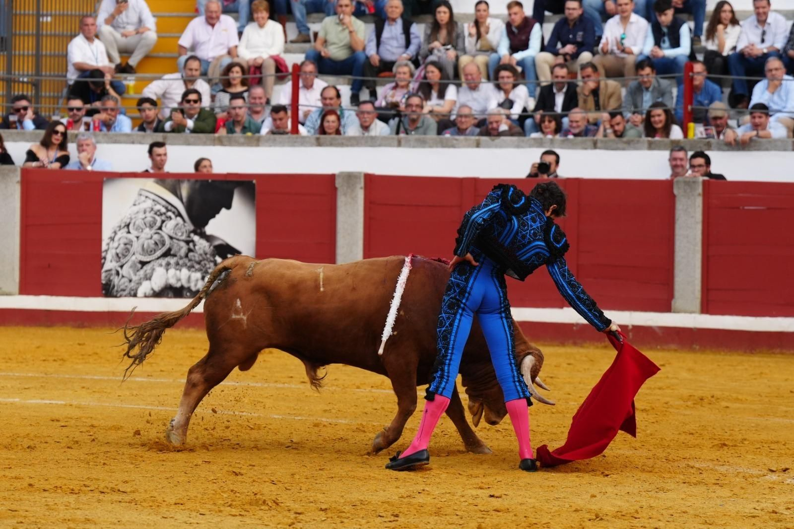 La corrida triunfal de Castella, Manzanares y Roca Rey en Pozoblanco, en imágenes