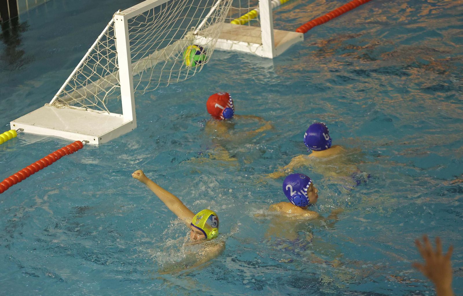 Fotos de la fase final de la V Liga Andalucía Infantil masculina de Waterpolo en Algeciras