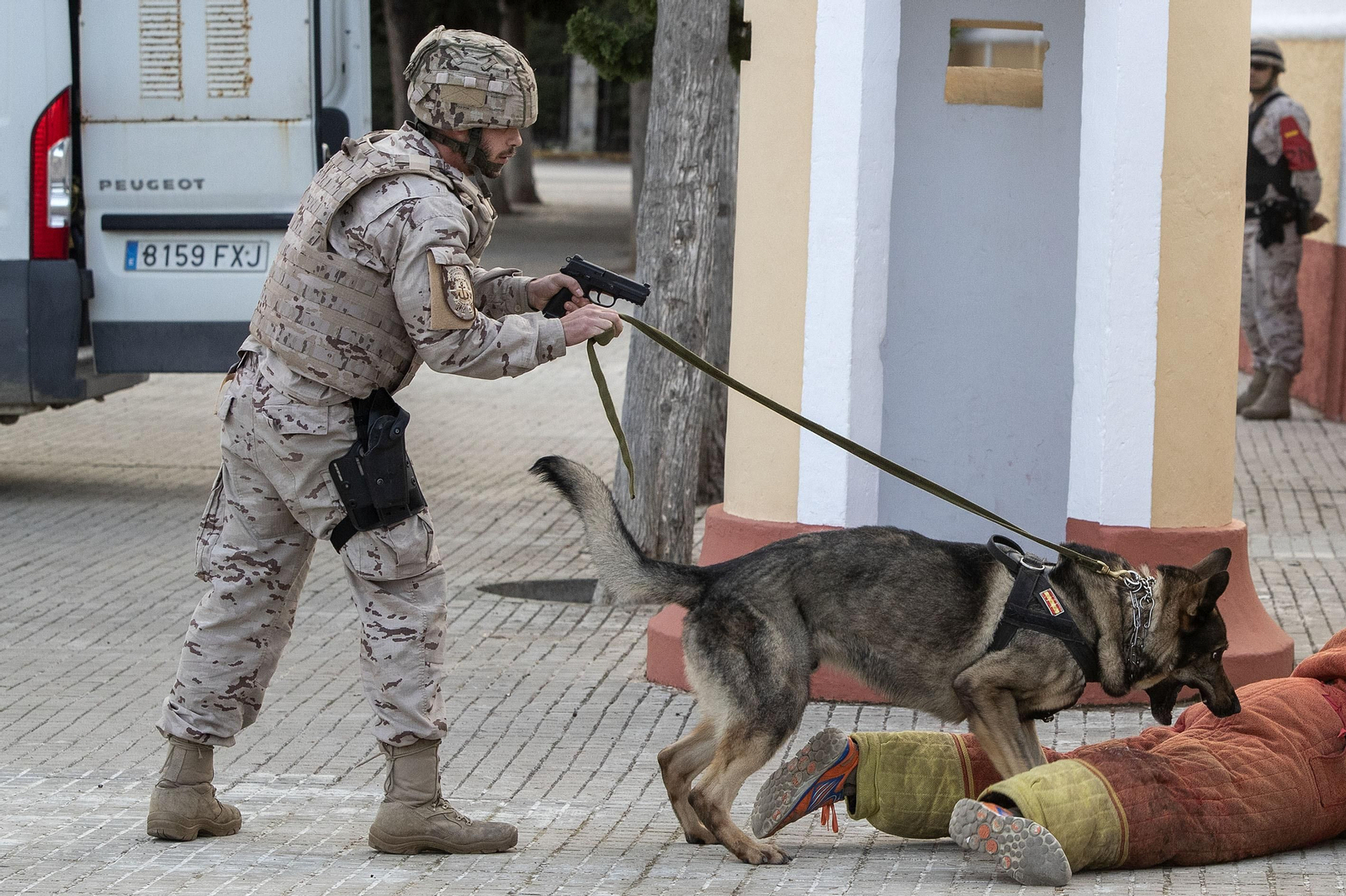 Ejercicios de la Fuerza de Protección de la Armada en San Fernando
