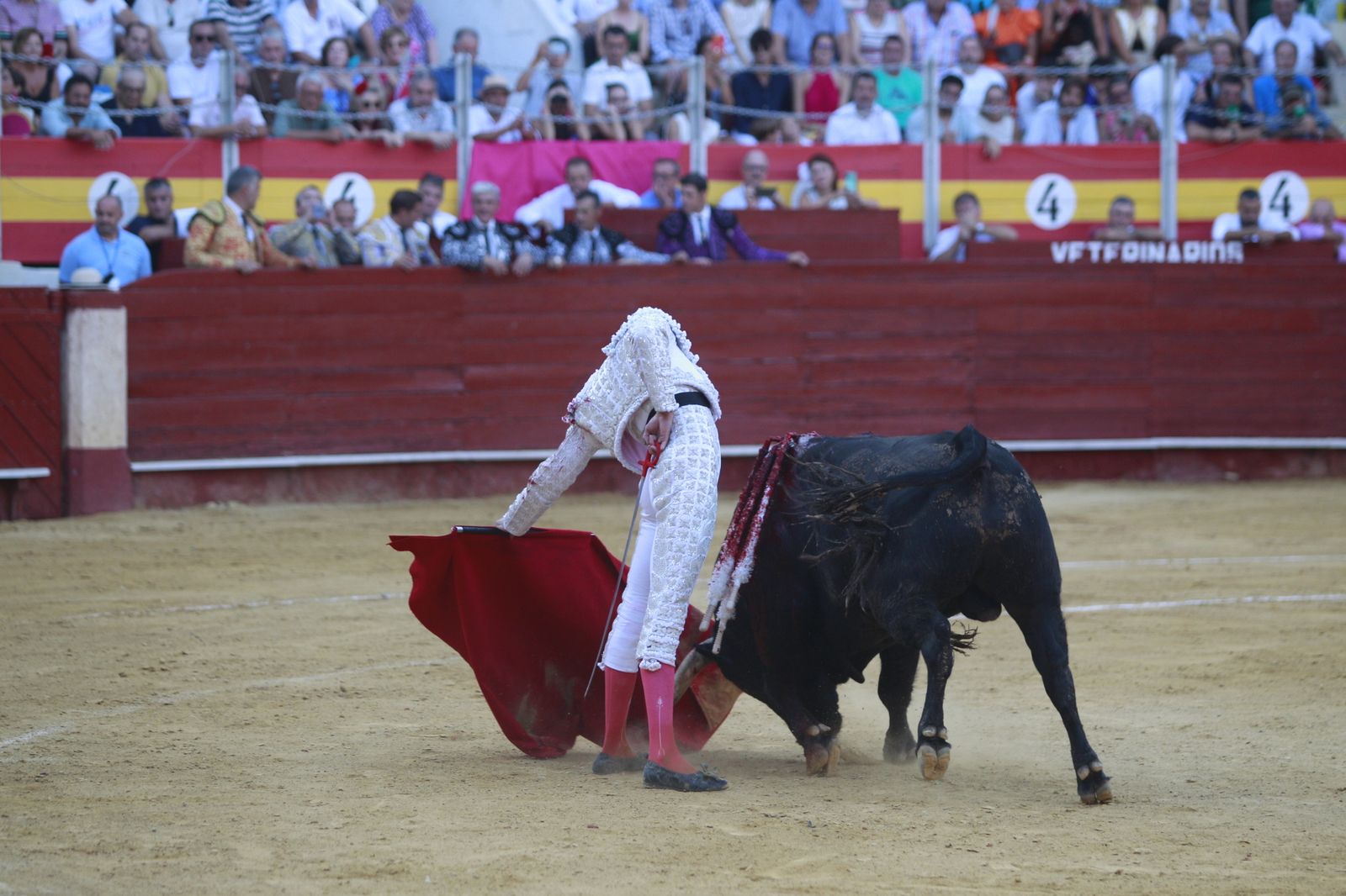 Imágenes del triunfo del torero almeriense Jorge Martínez el día de su alternativa