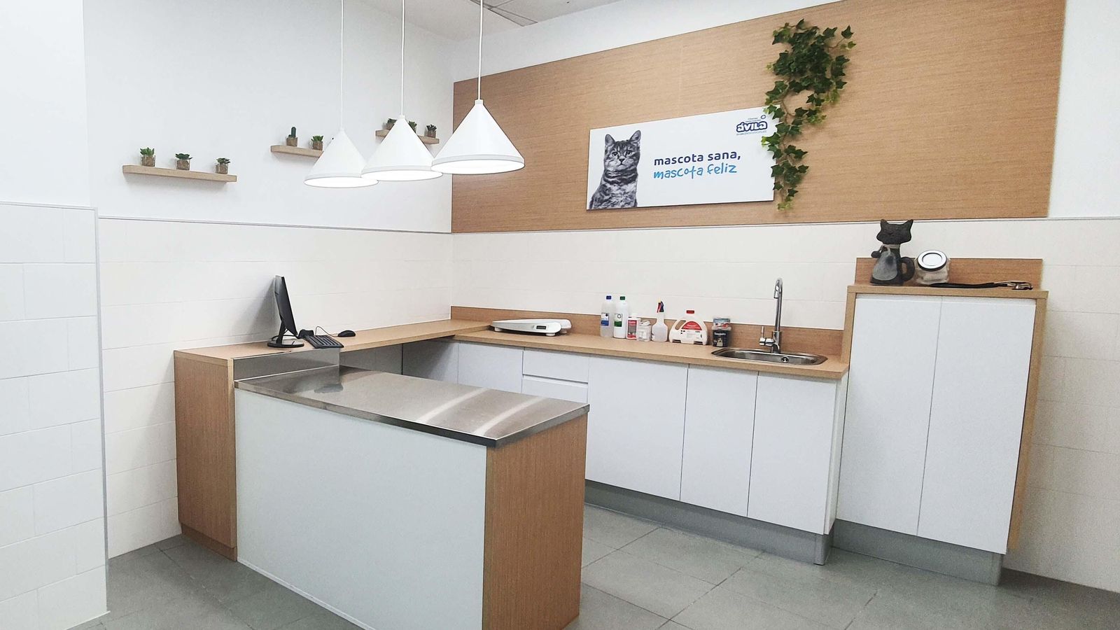 Una de las consultas de la nueva Clínica Veterinaria Ávila.