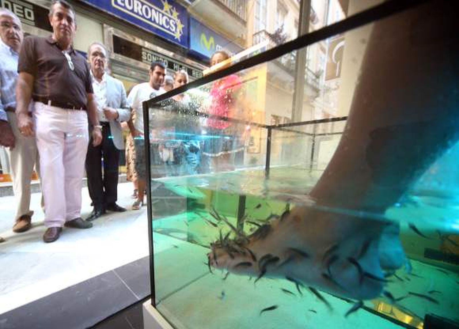 Peces masajistas en el escaparate