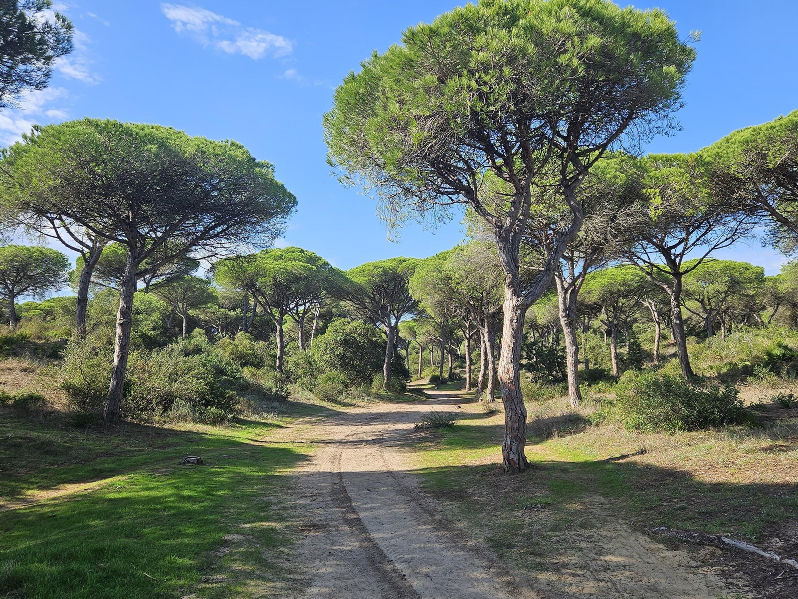 Sendero Torre del Tajo