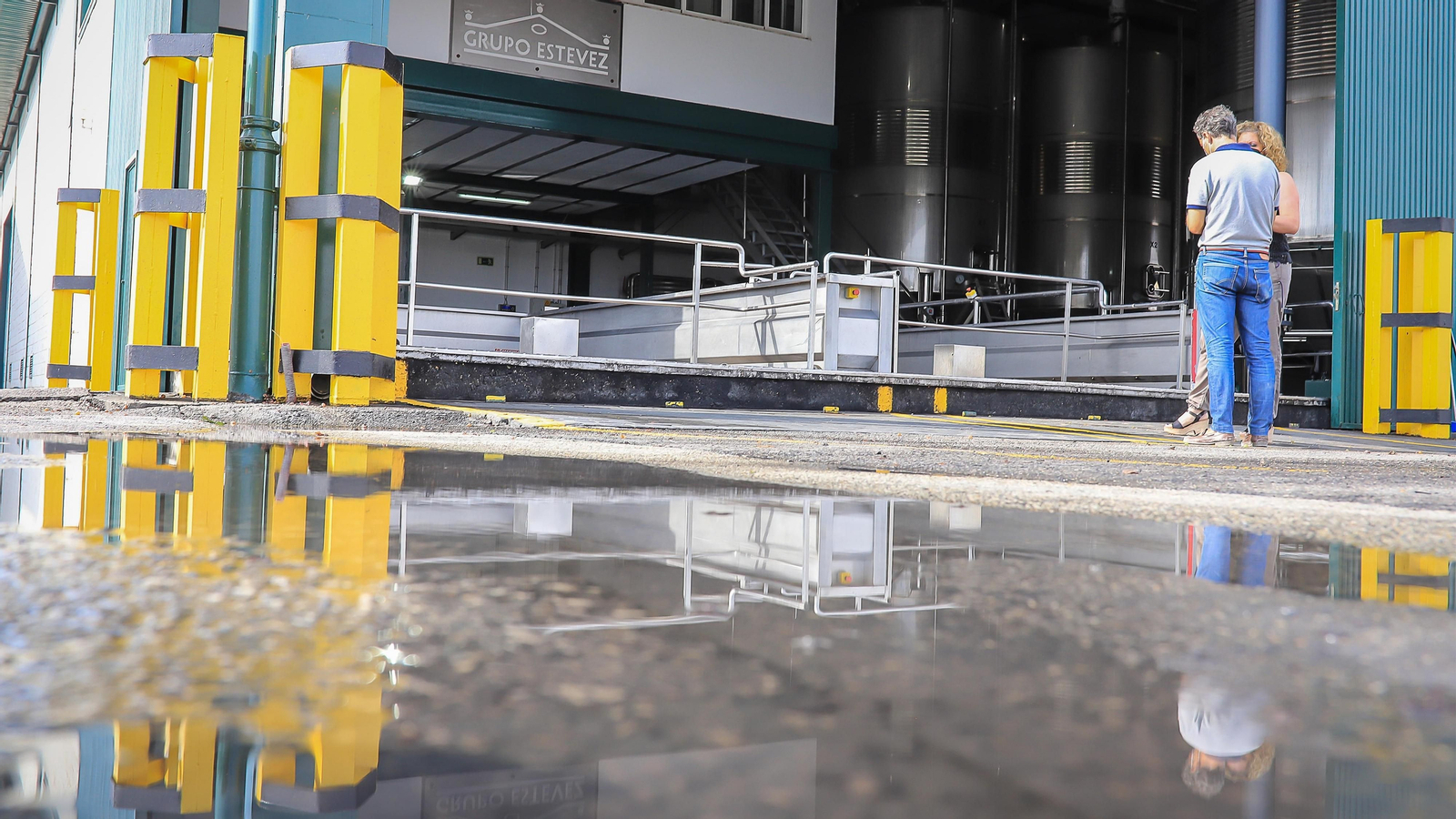 Imágenes de la vendimia de Bodega Estévez