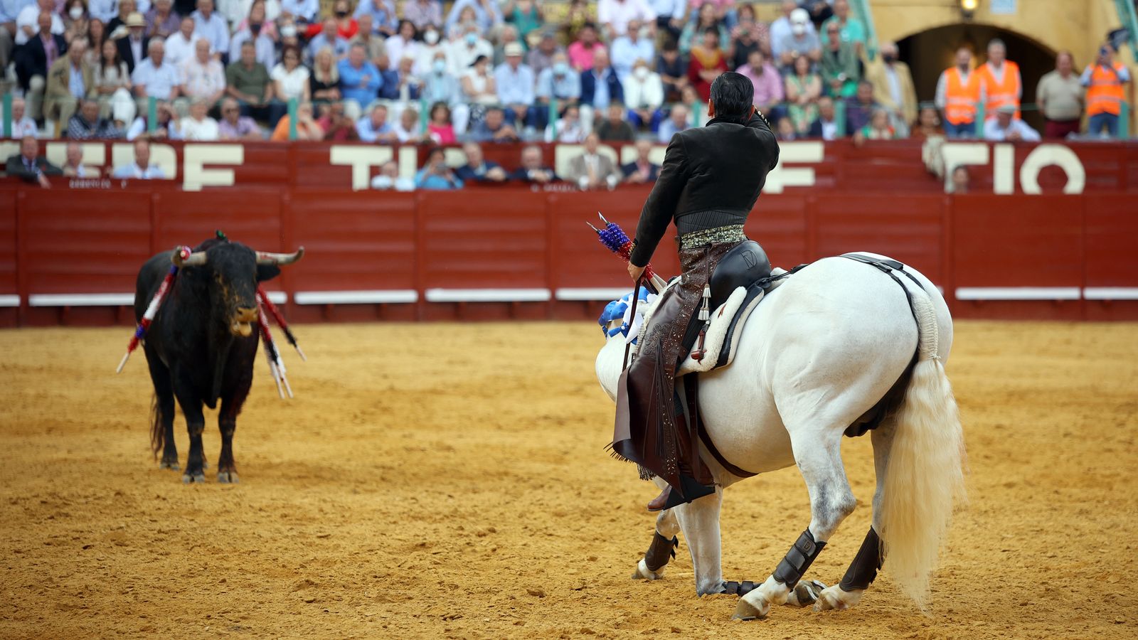 Toros en Jerez: El arte ecuestre