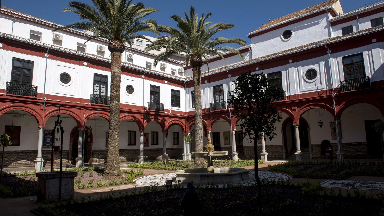 La vegetación también se ha cuidado