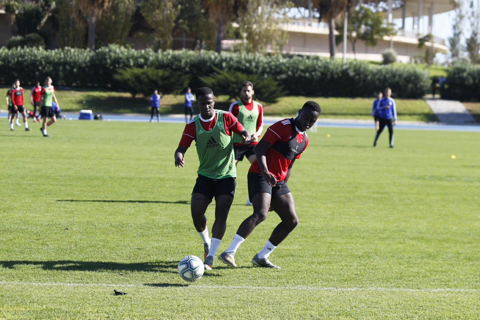 Fotogalería del entrenamiento del Almería 7-XI