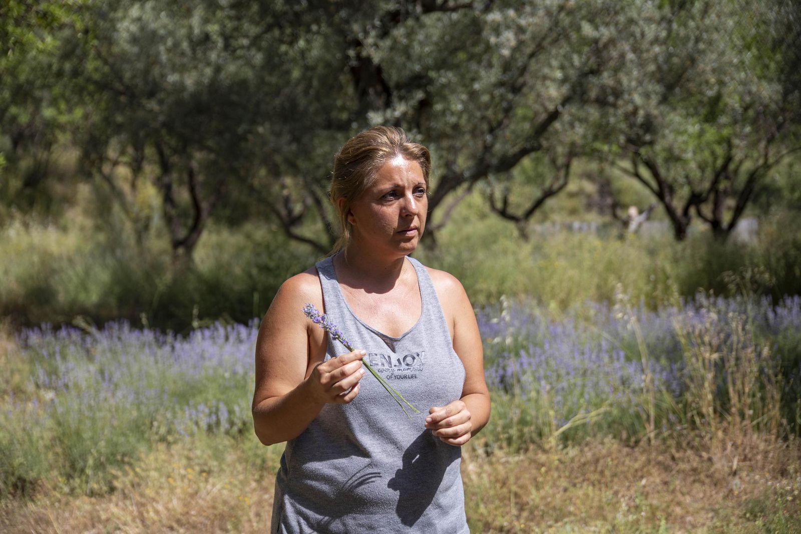 El jardin de lavandas en Benecid