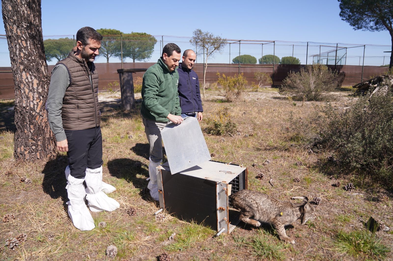 Juanma Moreno durante la suelta de Dama en el centro de cría en cautividad de Doñana.