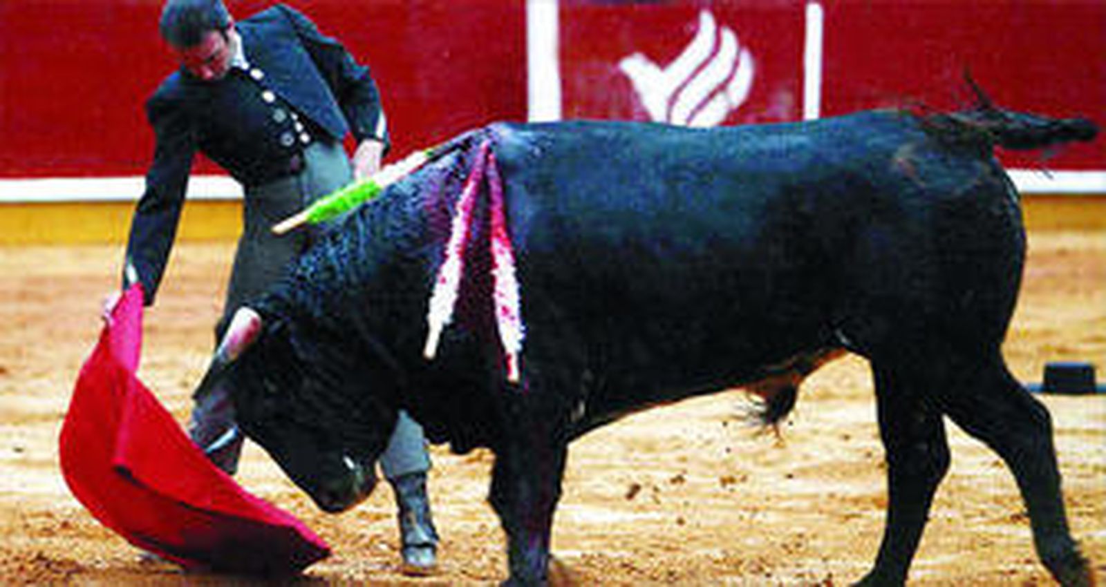 El matador de toros Enrique Ponce toreando con la mano derecha al novillo de Torrestrella.