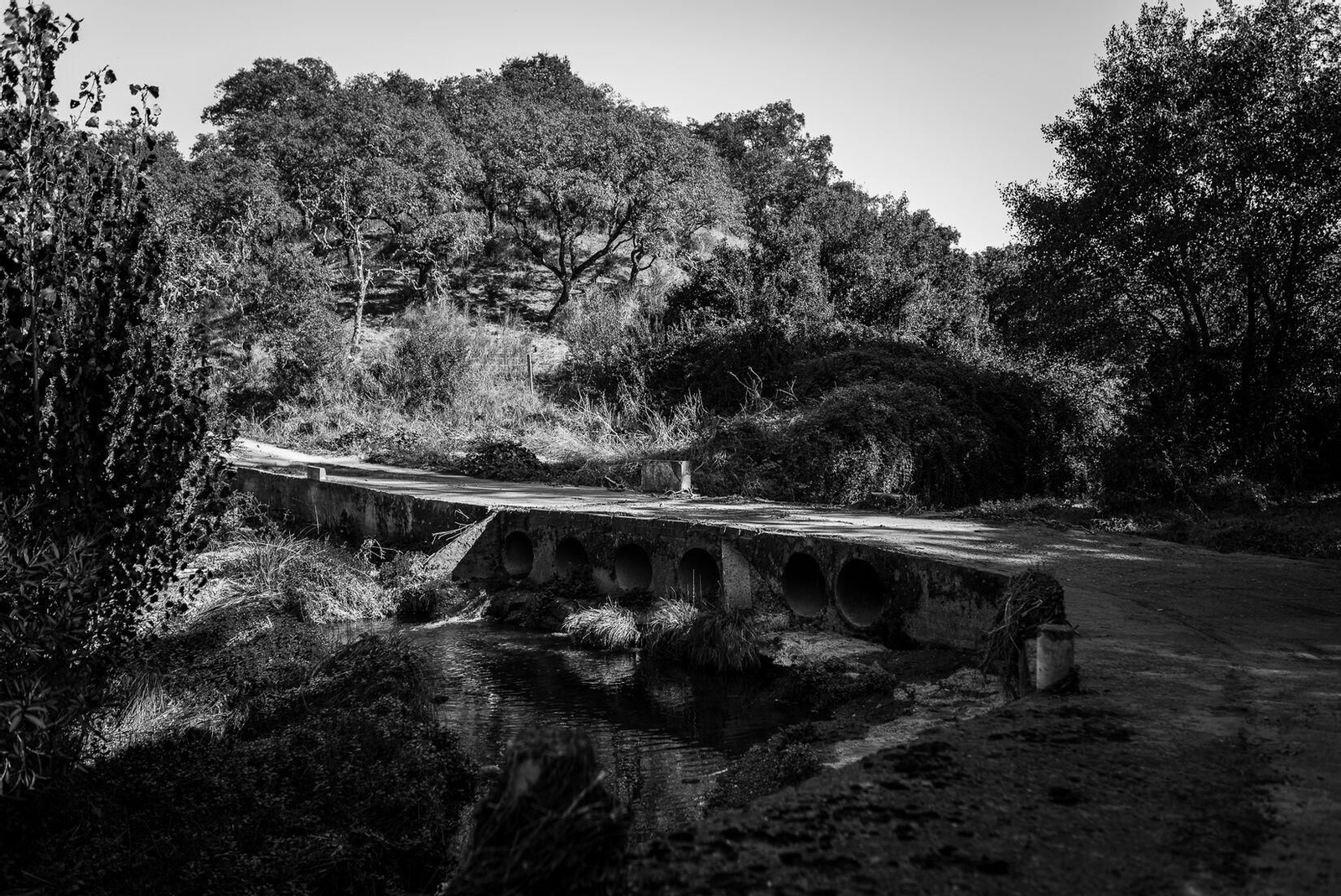 La aldea de Huelva congelada en el tiempo: "Aquí todo es natural y tranquilo" La aldea de Huelva congelada en el tiempo: "Aquí todo es tranquilo"
