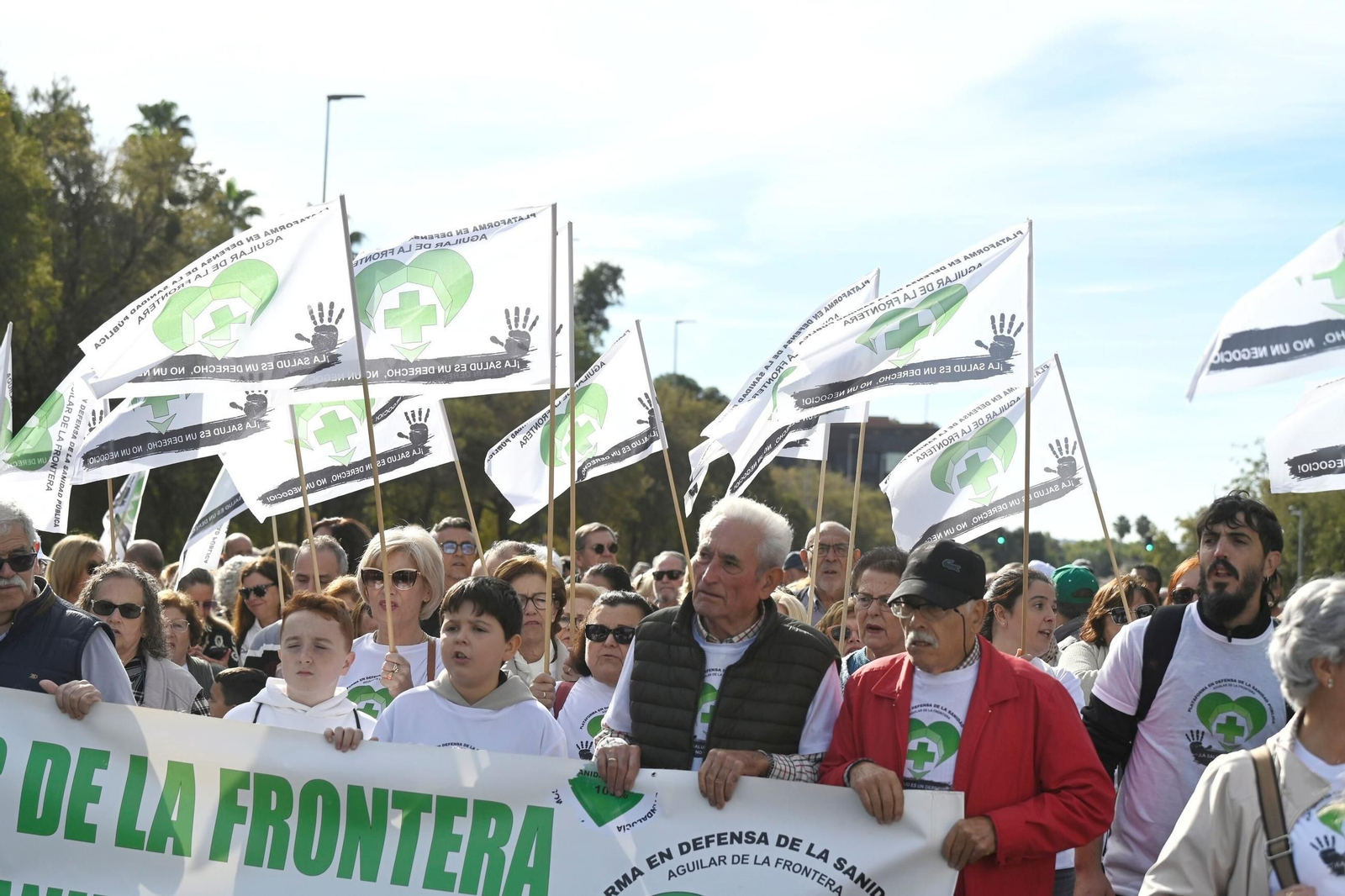 La manifestación en defensa de la sanidad pública en Córdoba