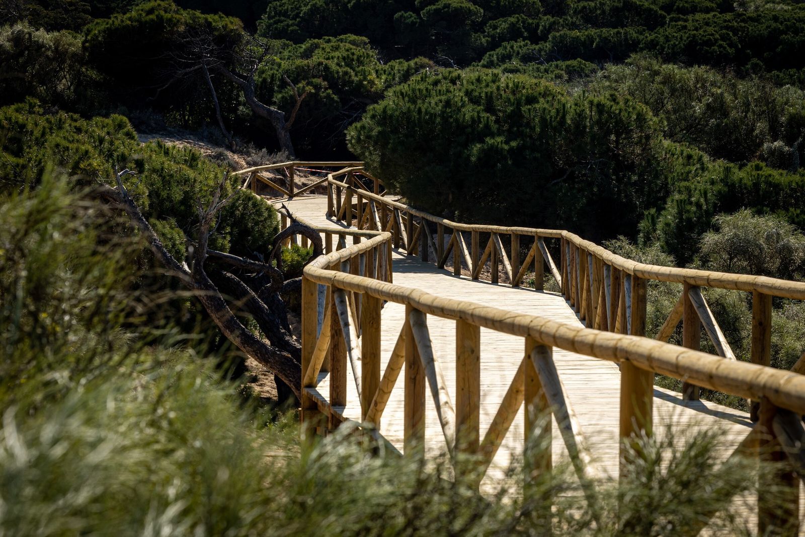 Las fotos del nuevo paseo litoral de El Puerto