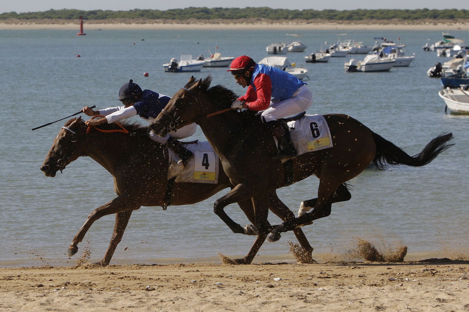 Las imágenes de las carreras de caballos en Sanlúcar
