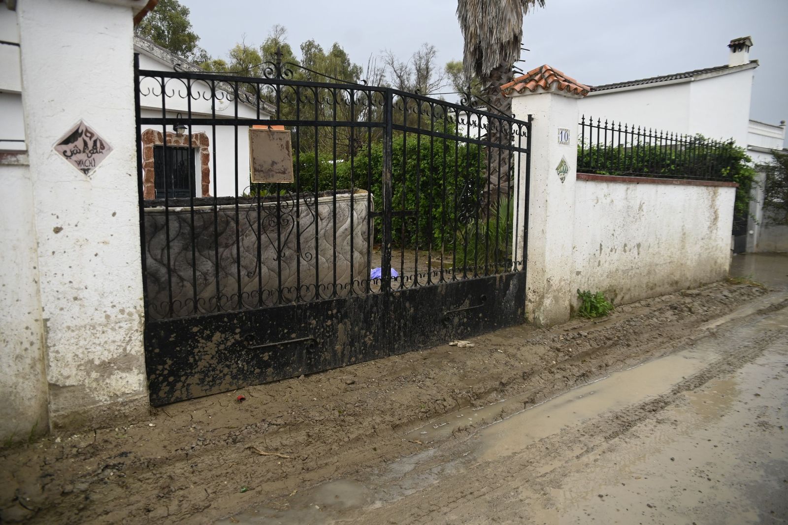 Parcelas de Guadalvalle siguen anegadas por el barro un mes después de las inundaciones