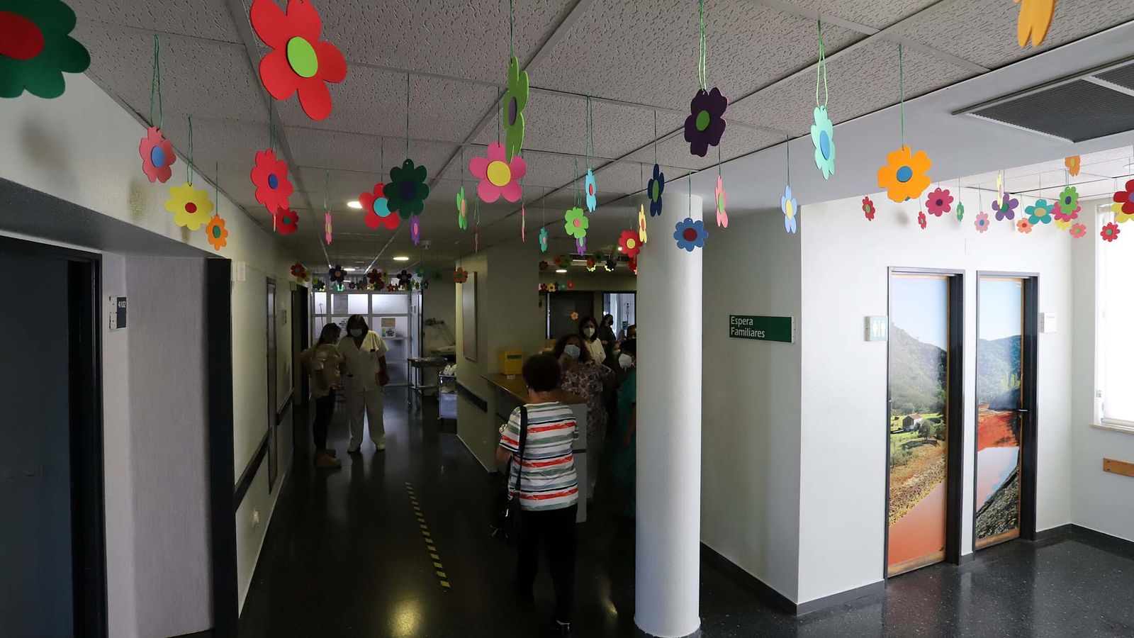 Flores colgantes en los pasillos de Oncología.