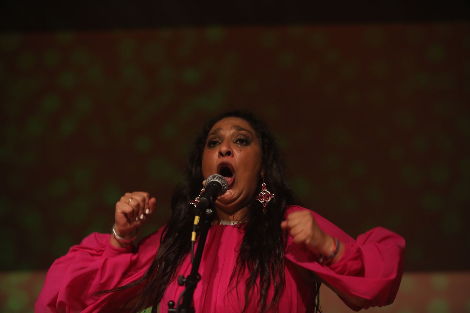 La noche flamenca en el Parque de San Fernando, en imágenes
