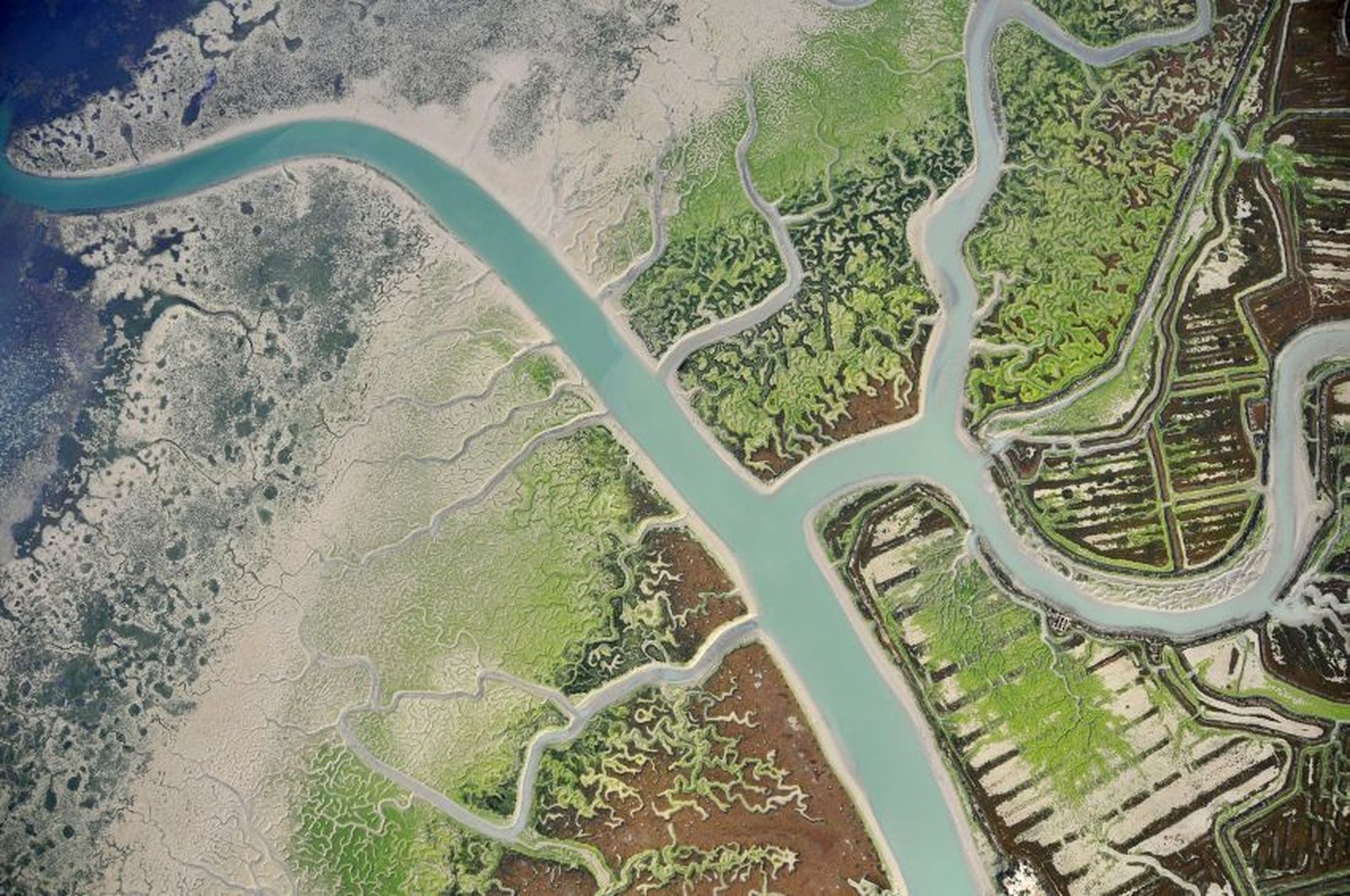 Las medidas del PDS del Parque Natural Bahía de Cádiz ya están en marcha