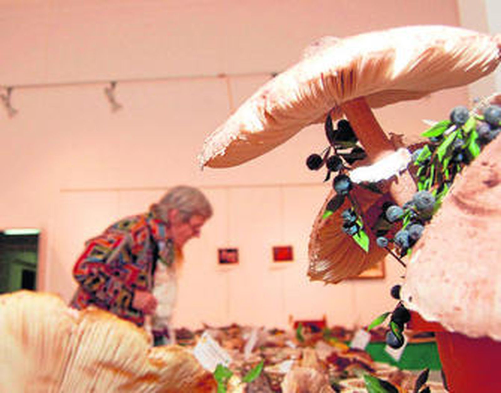 Las jornadas micológicas tuvieron una alta participación.