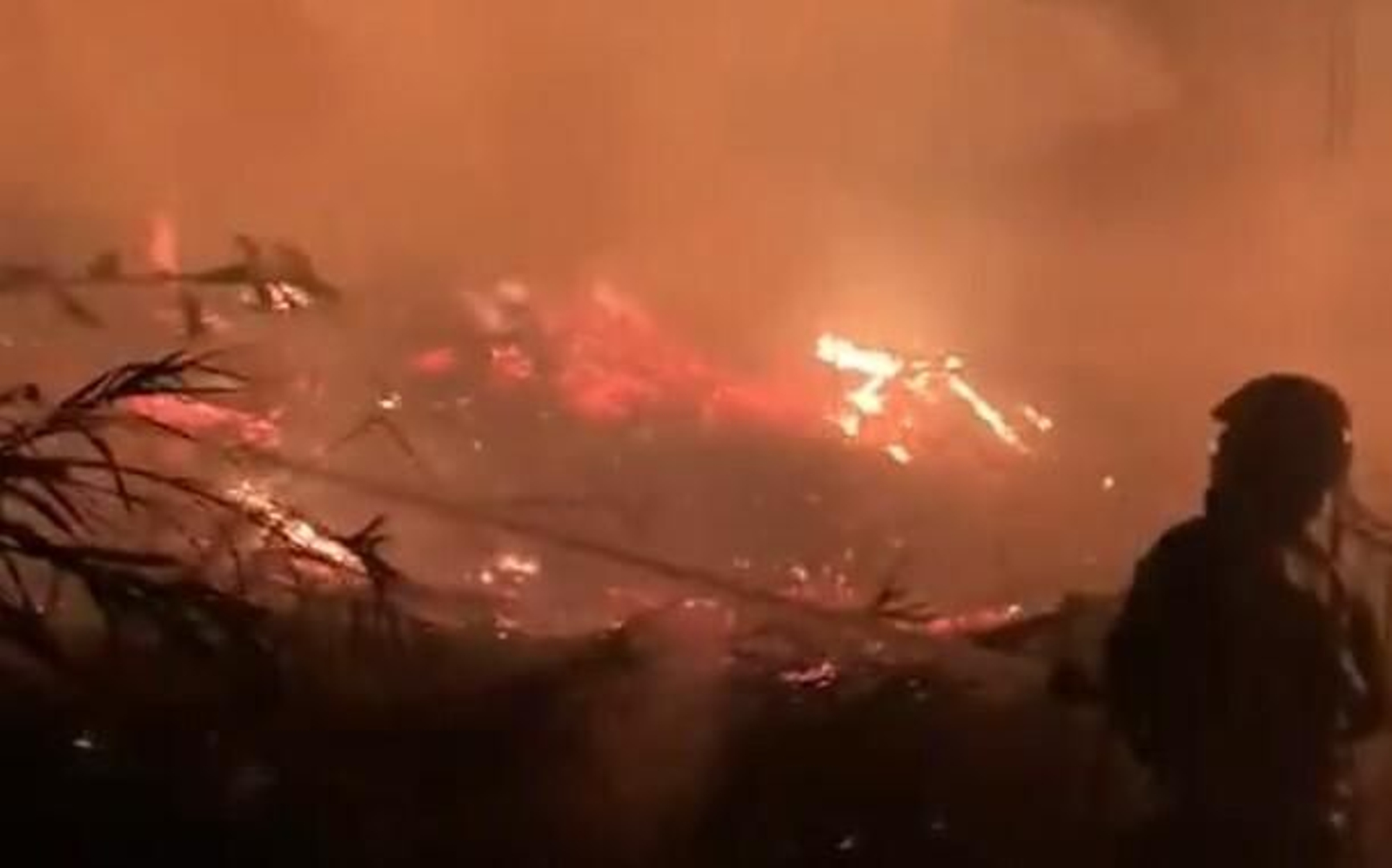 Un efectivo de los bomberos, en el incendio de un cañaveral en la carretera del Aeropuerto.