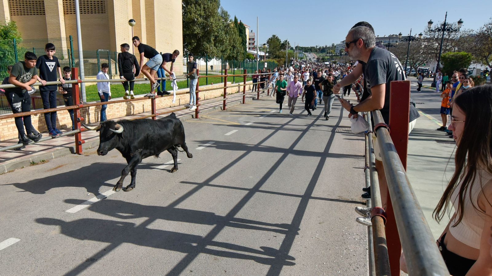 Fotos del encierro del sábado del Toro Embolao en Los Barrios