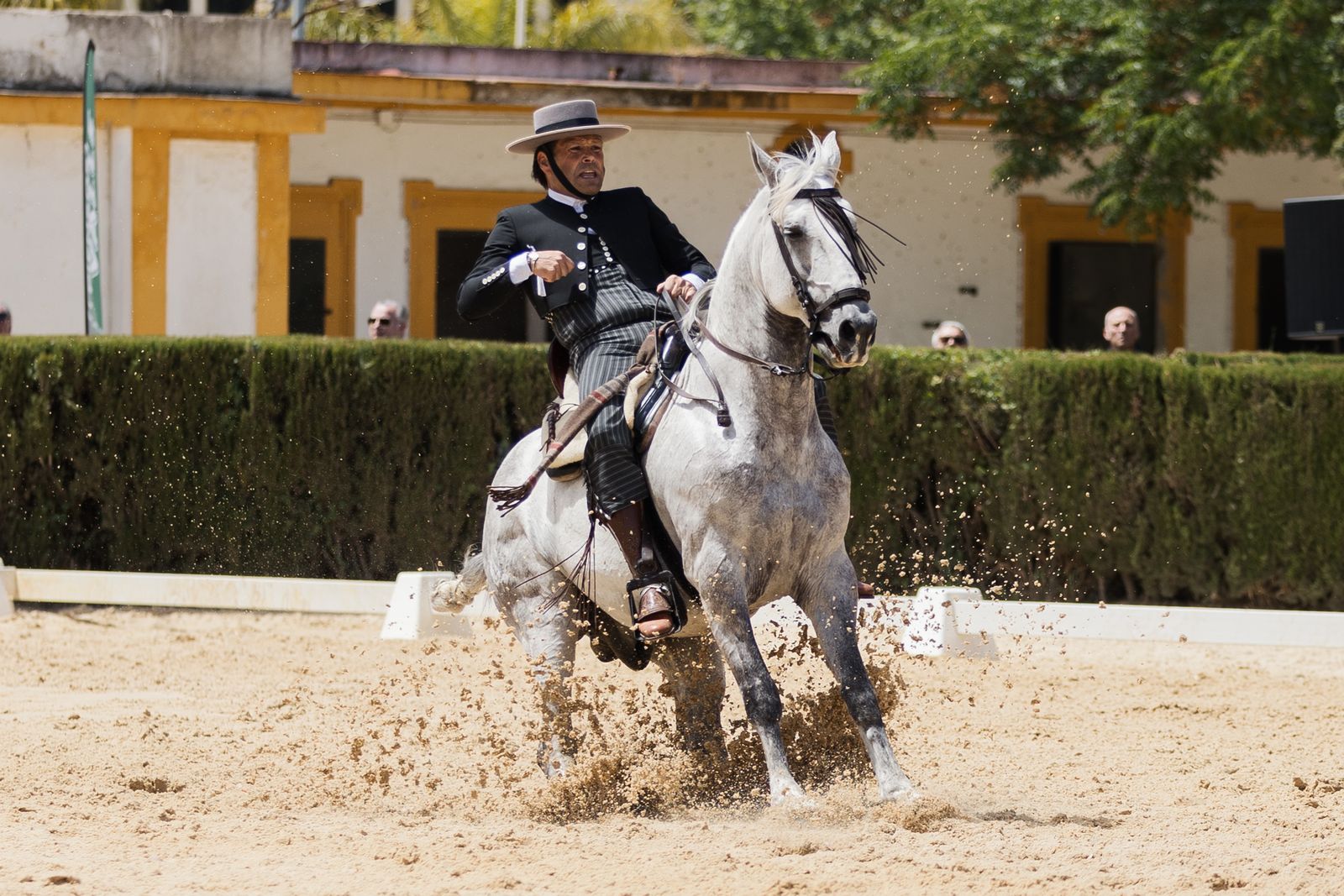 Imágenes de la Final de Doma Vaquera en Sementales