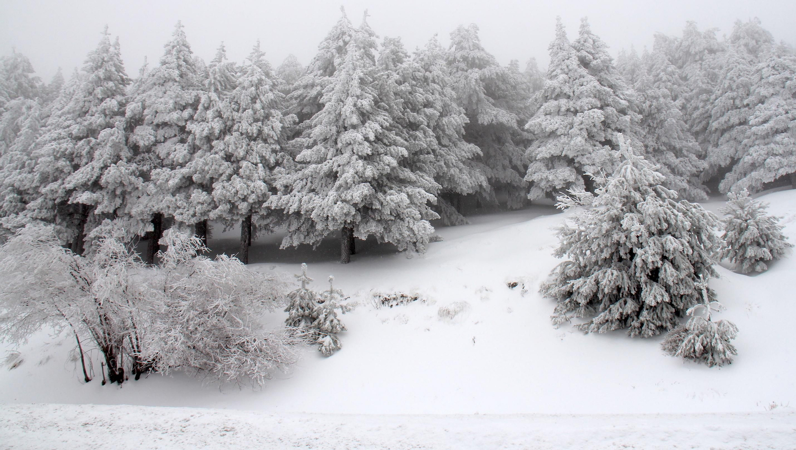 La nevada del fin de semana en Sierra Nevada, en imágenes