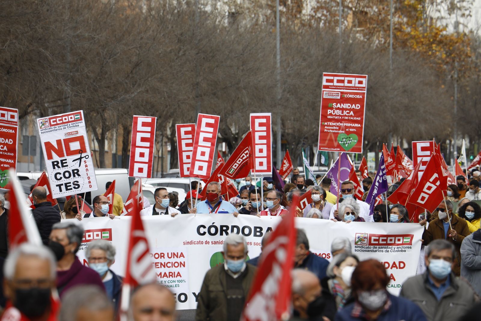 Manifestación en defensa de la sanidad pública en Córdoba, en imágenes