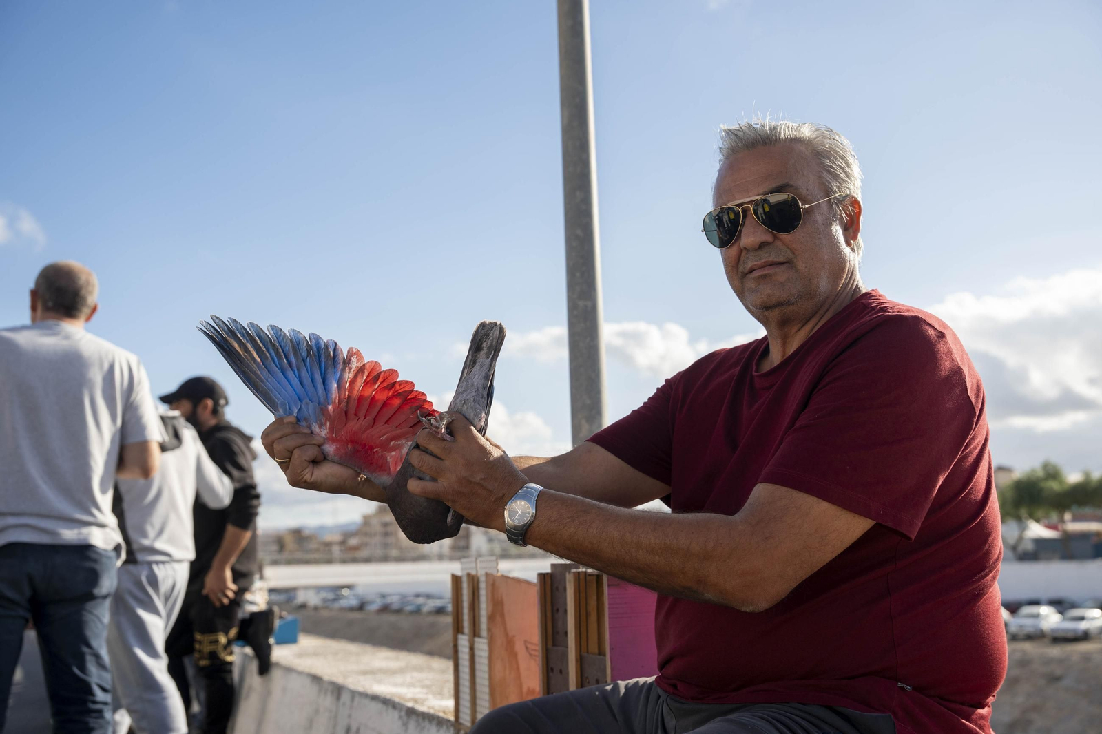 Las mejores imágenes de la suelta de palomos en la Feria de Albox