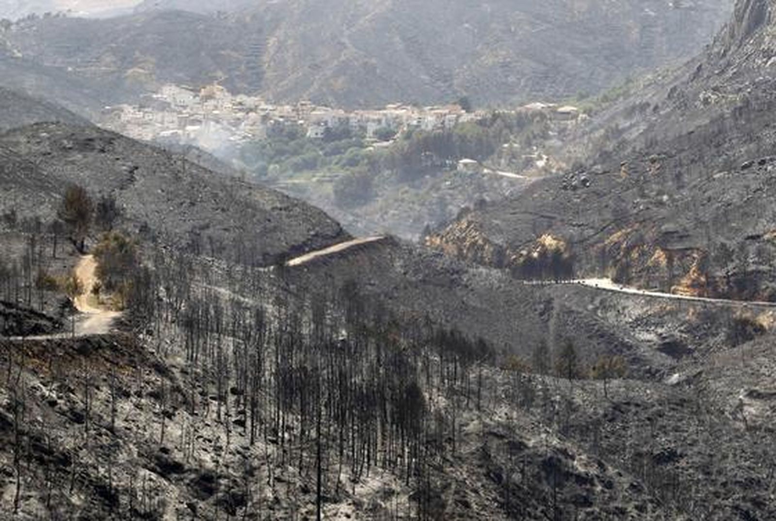 El fuego arrasa miles de hectáreas en comarcas del interior de la provincia de Valencia.

Foto: Reuters