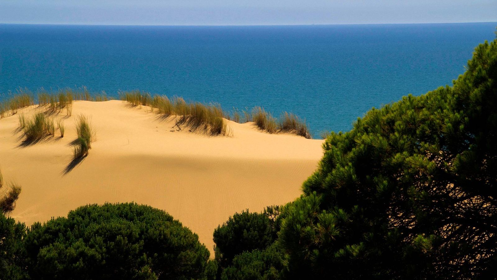 Dunas de Huelva