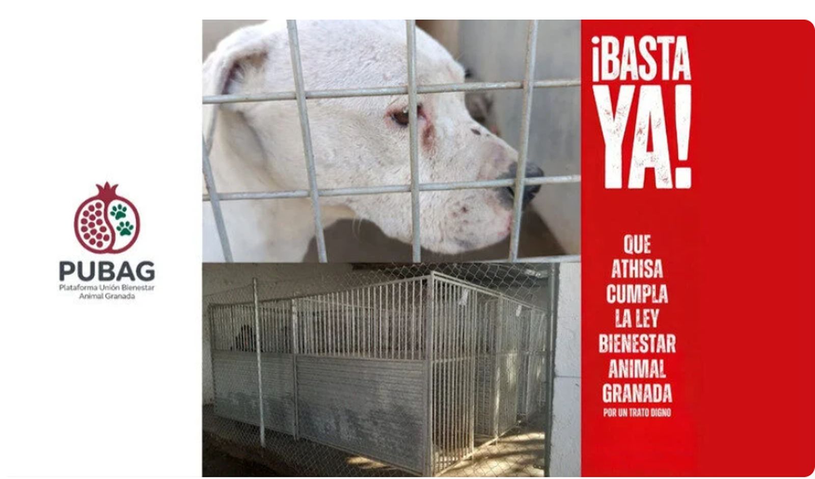 Imagen de la campaña de Change.org para exigir medidas urgentes.