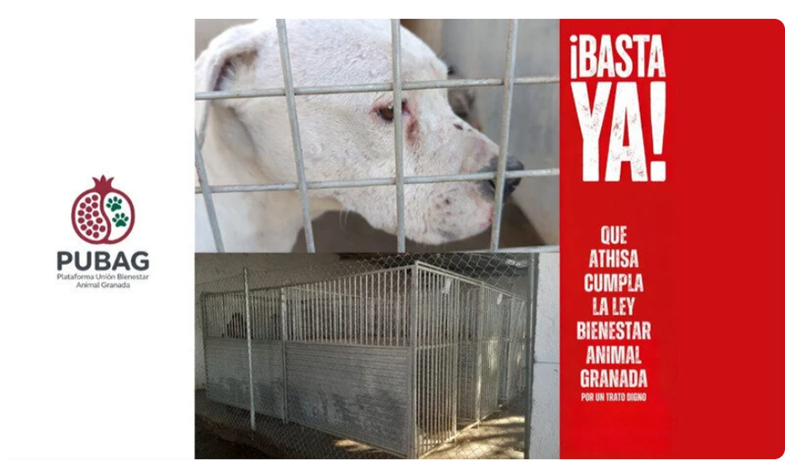 Imagen de la campaña de Change.org para exigir medidas urgentes.