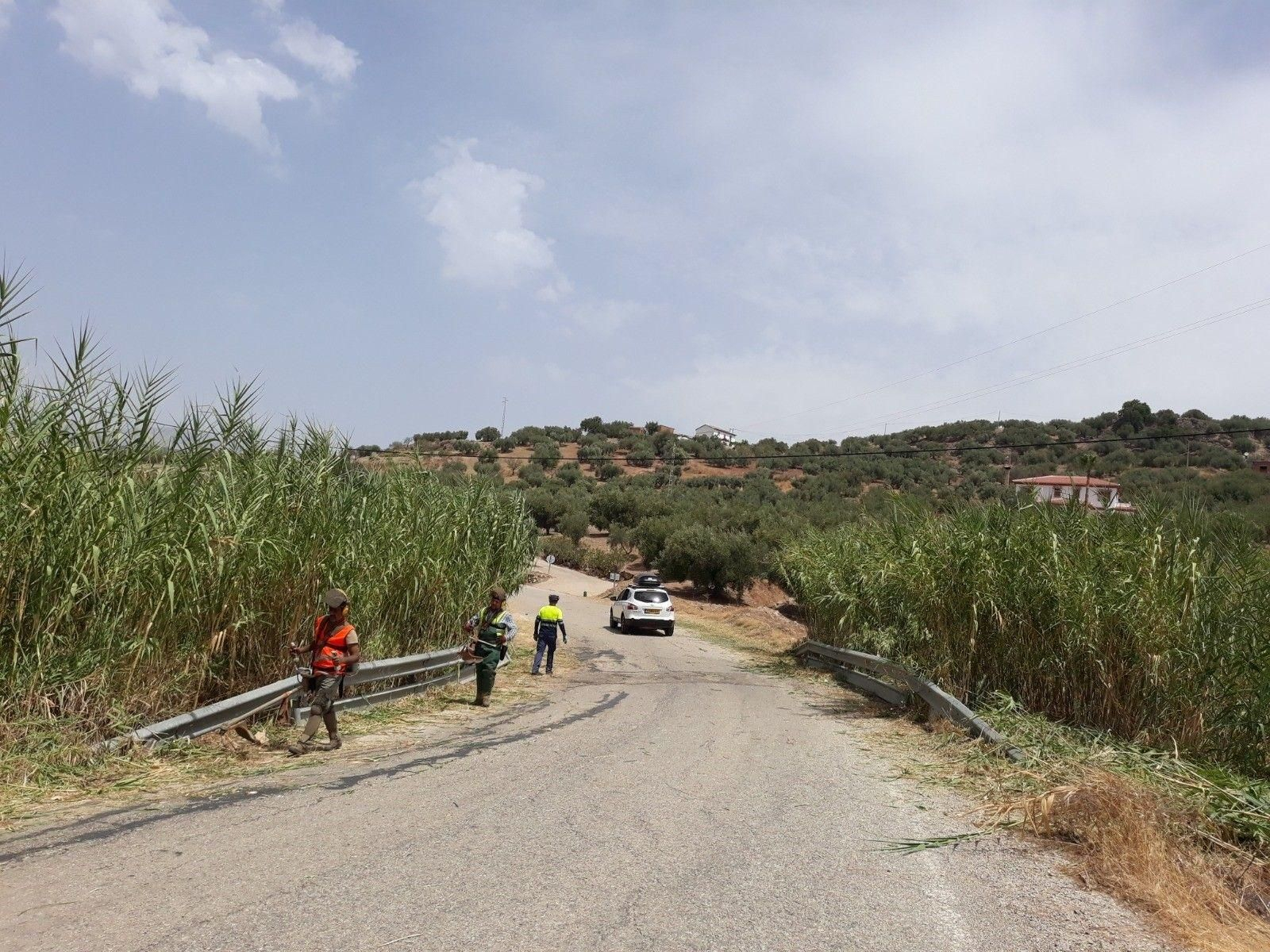 Diputación de Málaga procede a desbrozar márgenes de carreteras rurales.